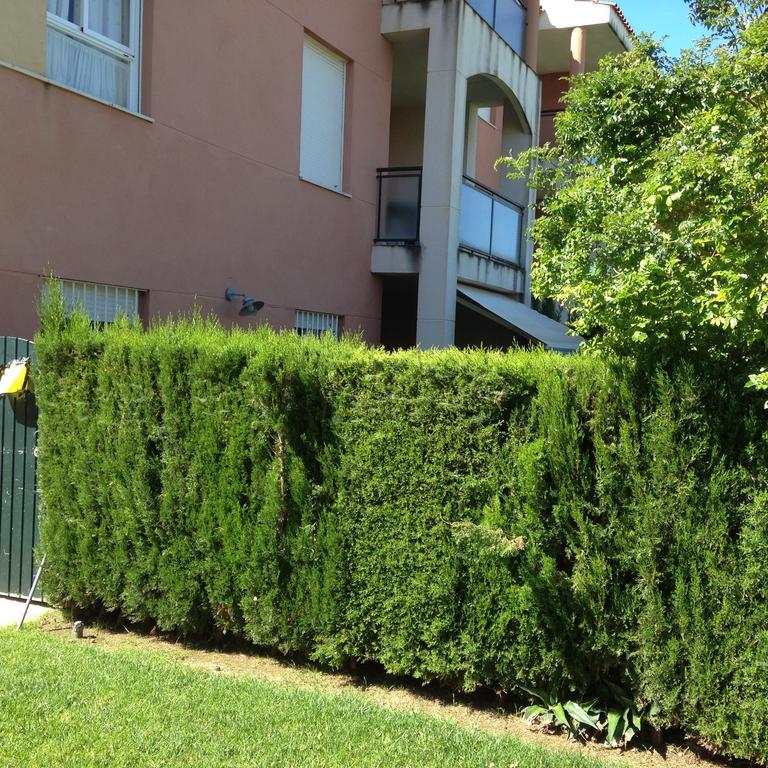 Divi Apartments Costa Ballena Eksteriør bilde